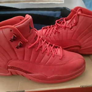 Air Jordan 12 retro